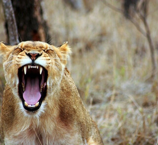 Zaburzenia osobowości